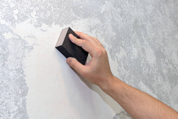 Best Biohazard Mold Removal  in Faxon, PA