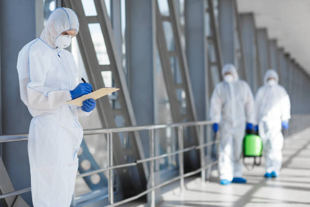 Environmental Consulting for Mold Prevention in Faxon, PA