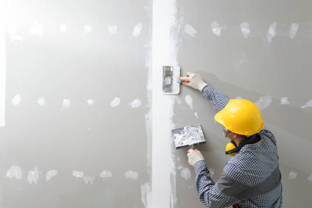 Best Basement Mold Removal  in Faxon, PA