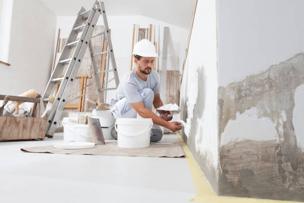 Professional Mold Removal in Faxon, PA