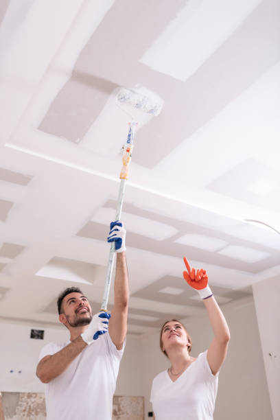 Best Water Damage & Mold Remediation  in Faxon, PA