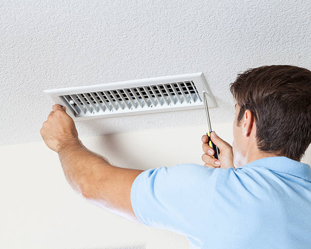 Mold Remediation for Rental Properties in Faxon, PA