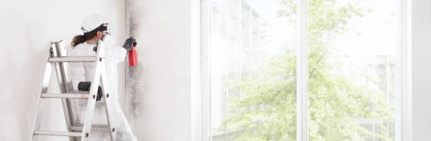 Best Industrial Mold Remediation  in Faxon, PA