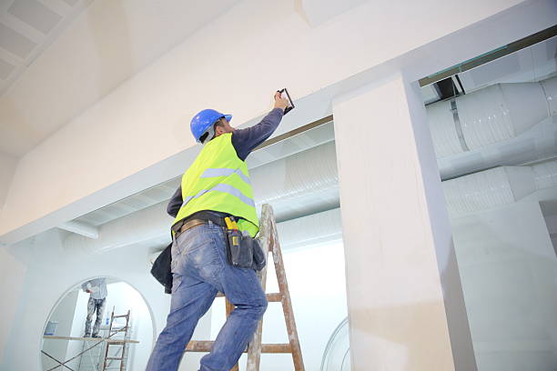 Best Attic Mold Removal  in Faxon, PA